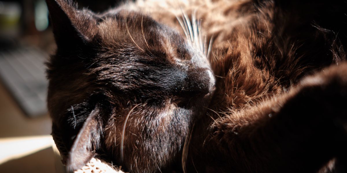 Confinement - partie 2