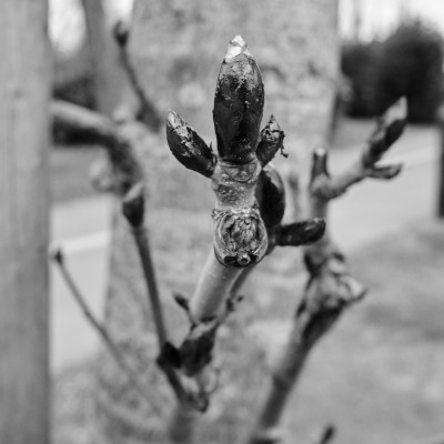 Image _DSF1501
