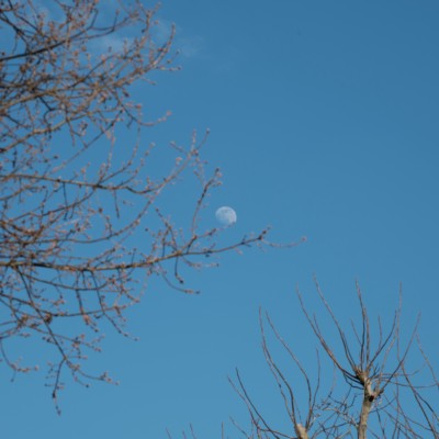 Image _DSF1515