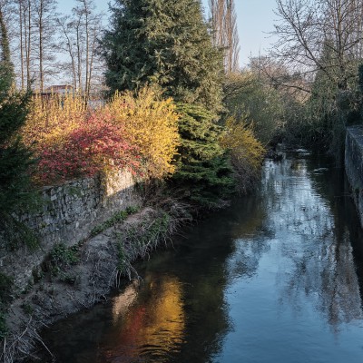 Image _DSF1520