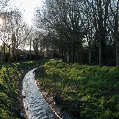 Image _DSF1522
