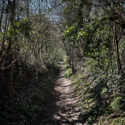 Image _DSF1524
