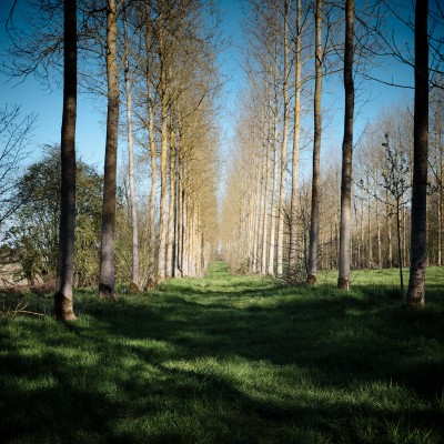 Image _DSF1538