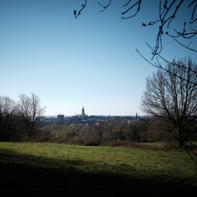 Image _DSF1541