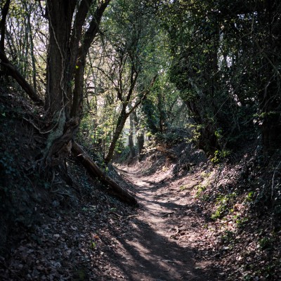 Image _DSF1543