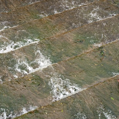 Image DSC9251