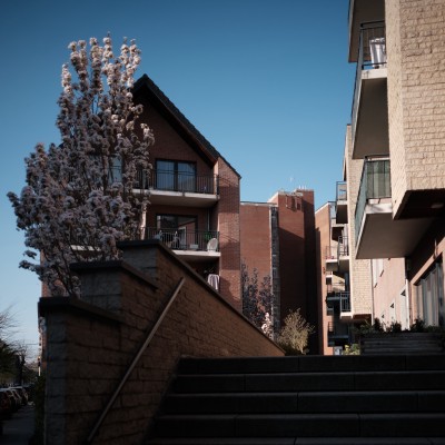 Image _DSF1572