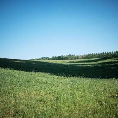 Image _DSF1865