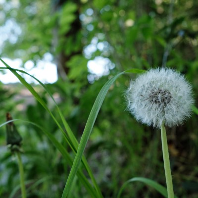 Image _DSF1869
