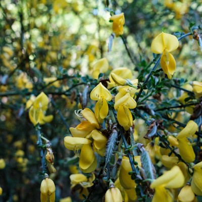 Image _DSF1877