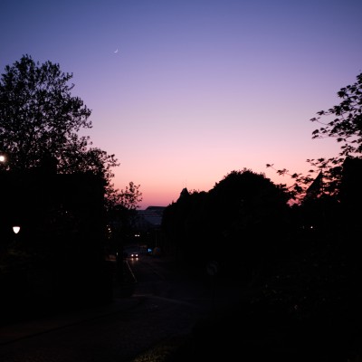 Image _DSF1829