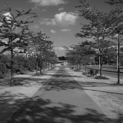 Image _DSF1916