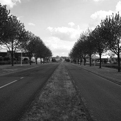 Image _DSF1920
