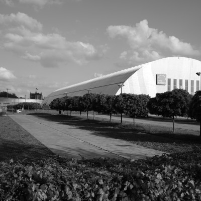 Image _DSF1932