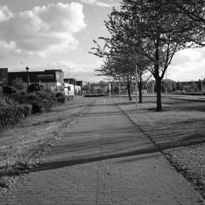 Image _DSF1934