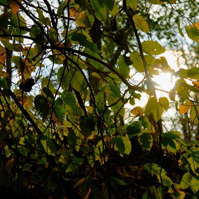 Image _DSF4864