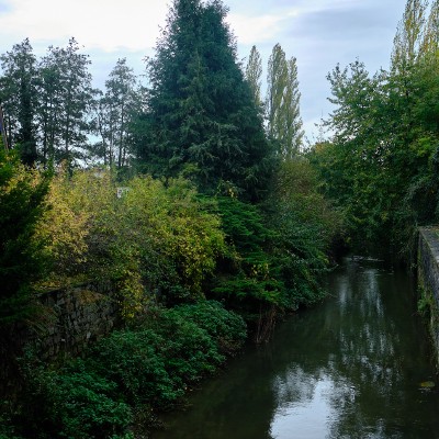 Image _DSF4883