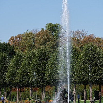 Image _DSF4384