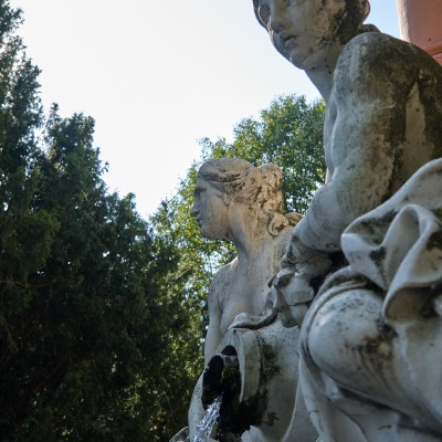 Image _DSF4433