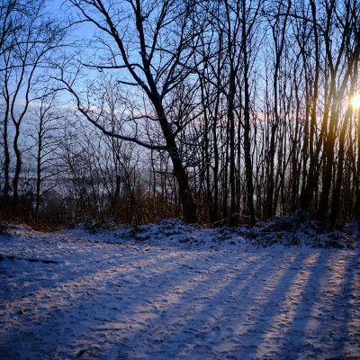 Image _DSF5443