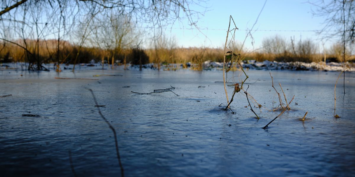 Neige sur le mont Panisel